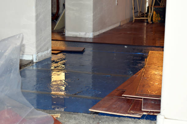 Professional Sewage Cleanup technician working in Mulberry, IN